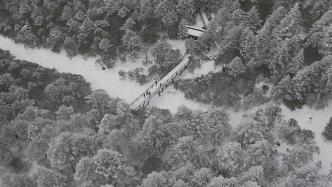 轿子雪山雪后森林栈道航拍