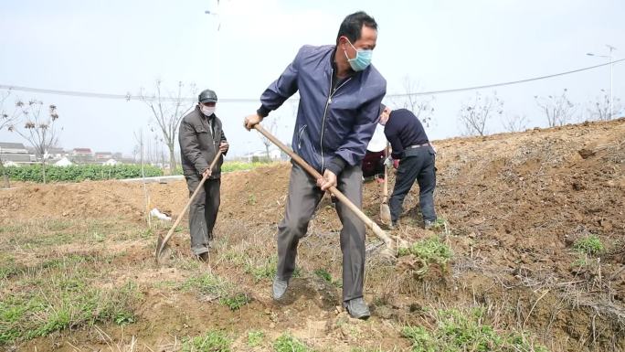 春耕秋种农业大棚种地蔬菜农民农村