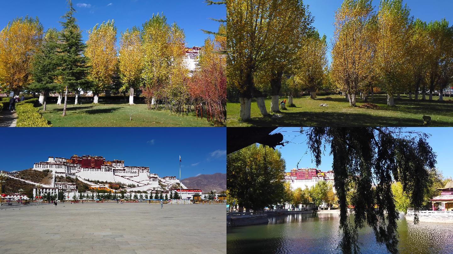 西藏拉萨市市容街景