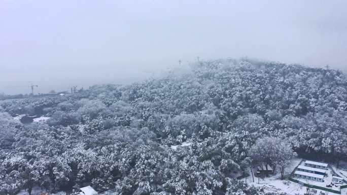 4K航拍武汉东湖磨山东湖樱花园东湖梅园