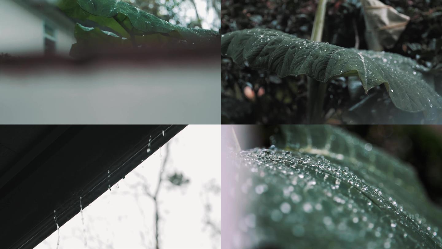 下雨、屋檐、雨滴、水珠、树叶、唯美