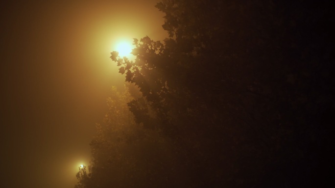 夜间大雾天气