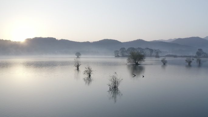 4k灰度水墨风早晨湖泊自然风光航拍