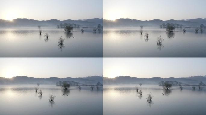 4k灰度水墨风早晨湖泊自然风光航拍