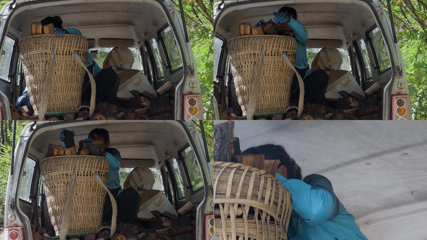 农村妇女在整理木头木柴