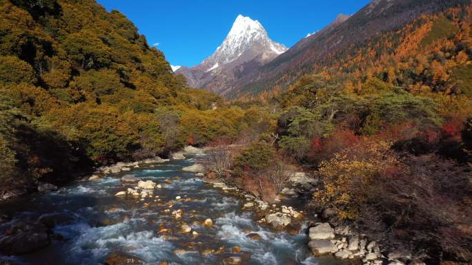 西藏林芝念青唐古拉山溪流