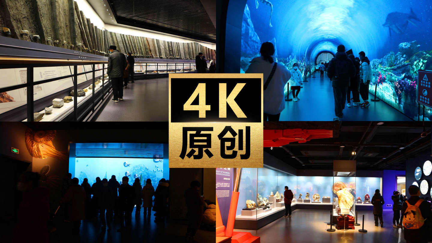 贵州省地质博物馆（4k）