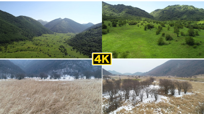 【4K原创】巫山葱坪世界自然遗产保护区