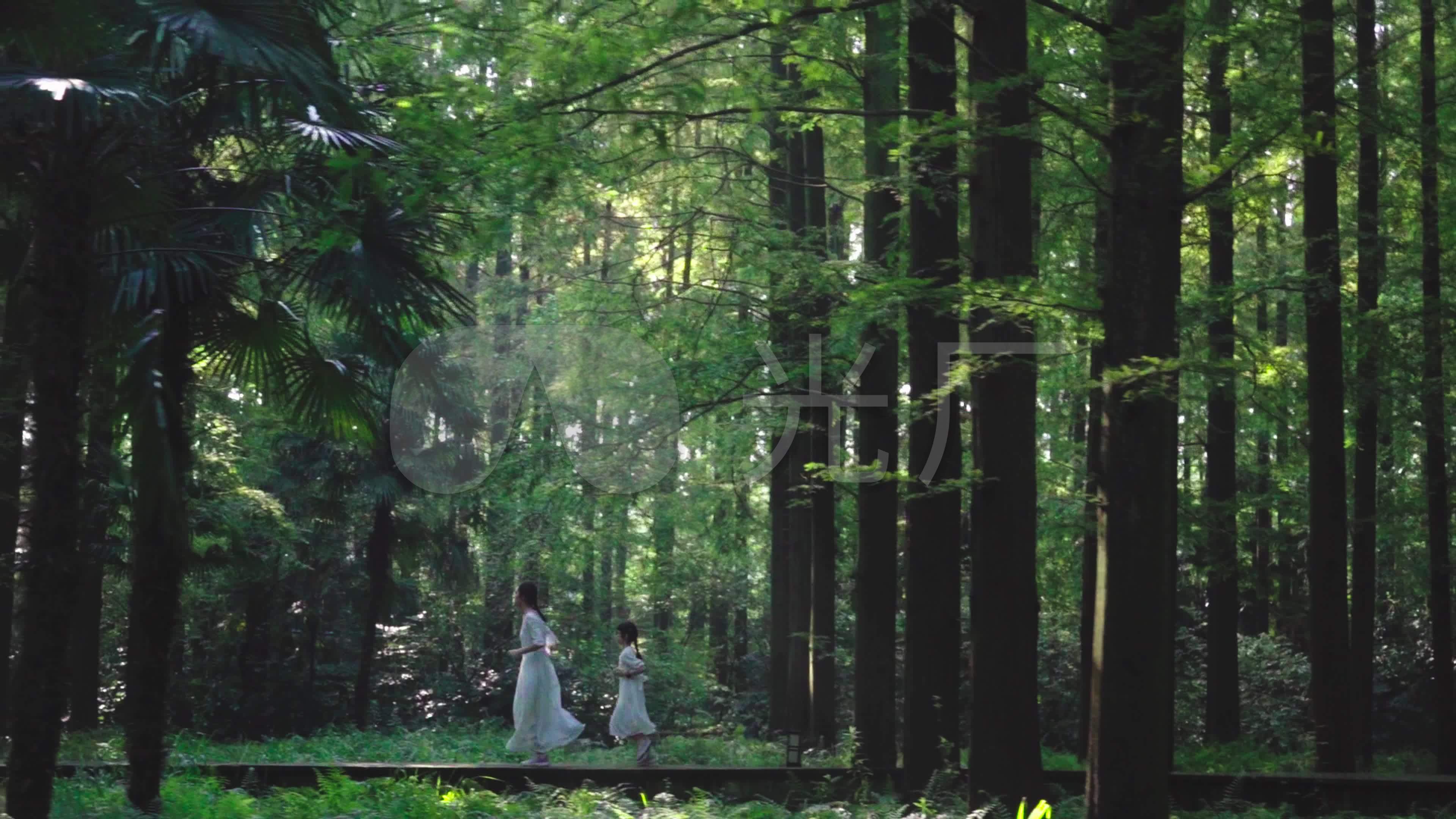森林漫步-漂亮的女孩树林跑步