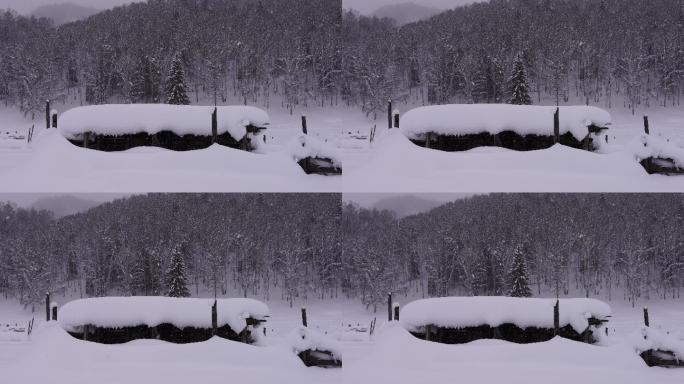 下雪天气（4K高清）