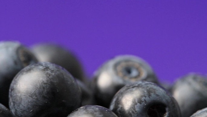 成熟新鲜蓝莓在深蓝色背景上旋转