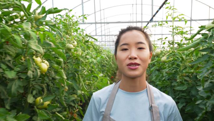 女农民在线直播科技农业科技助农大棚种植