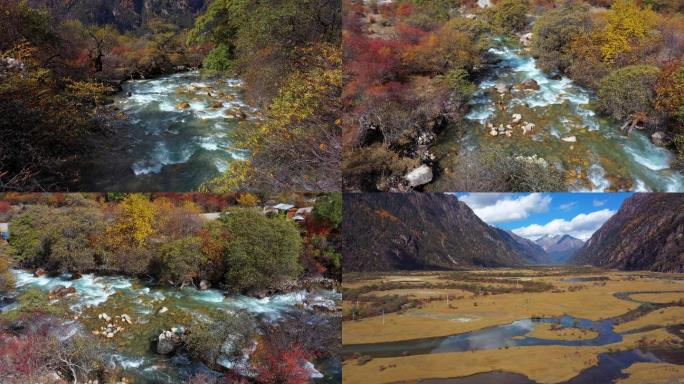 西藏林芝措高村的溪流和湿地
