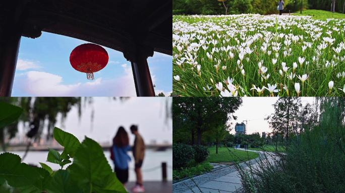 湖泊古建游船灯笼花丛天鹅晚霞