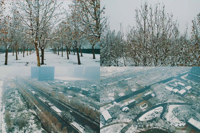 冬季雪景