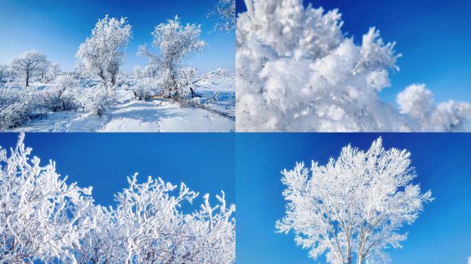 雾凇 雪景 纯净  唯美 冬季