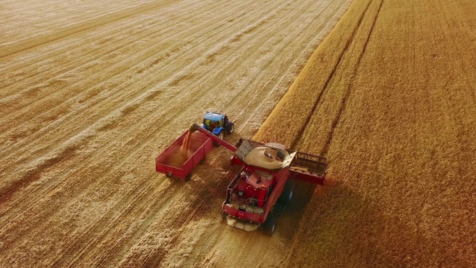 航拍现代化农用机械收割麦田