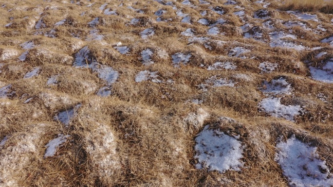 荒凉牧场残雪