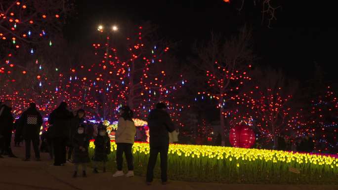 元宵节花灯赏灯人群街景