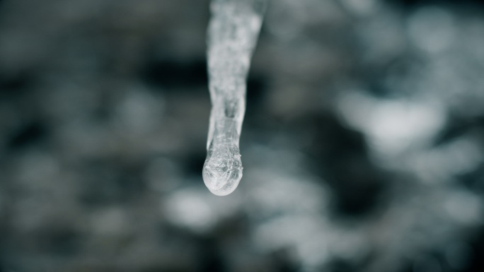 冰雪融化水滴落下下雪大雪冬天雾树挂雪树枝