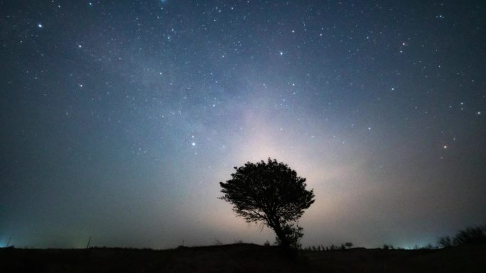 草原上孤独一棵树背景星空银河延时