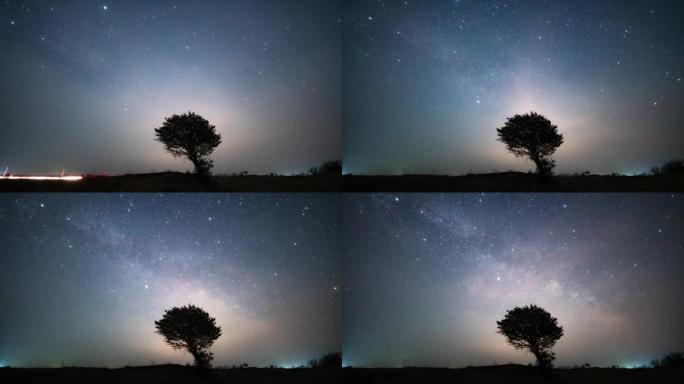 草原上孤独一棵树背景星空银河延时