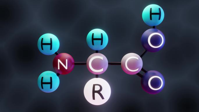 氨基酸分子结构原子化学键氧原子