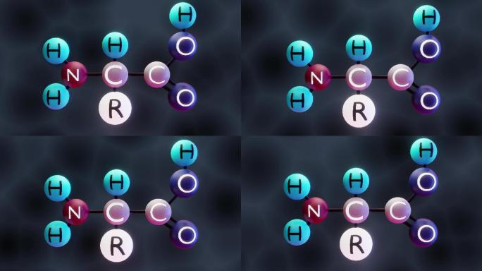 氨基酸分子结构原子化学键氧原子