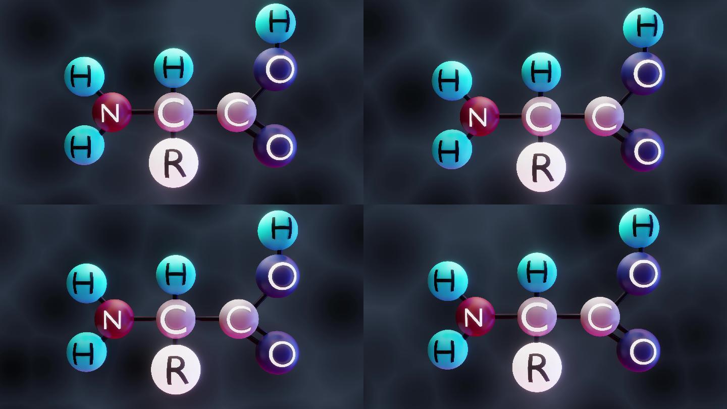 氨基酸分子结构原子化学键氧原子