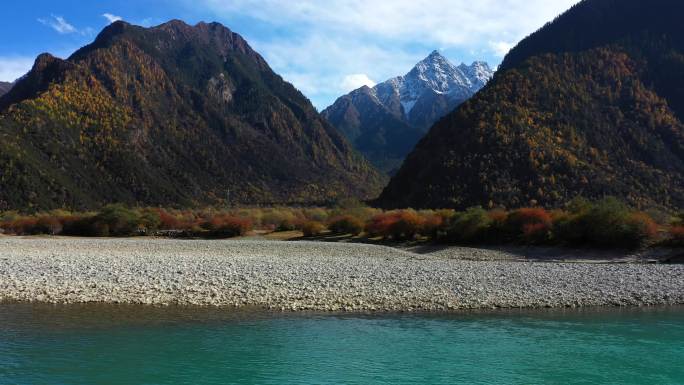 西藏林芝巴河两岸秋天景色