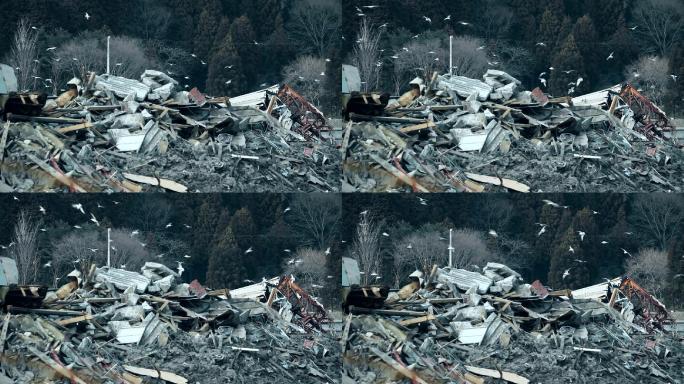 日本海啸后，房屋和建筑物被摧毁