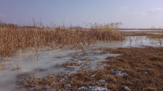 冬季湿地湖泊