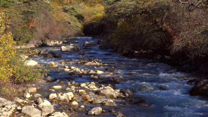西藏林芝措高村的溪流