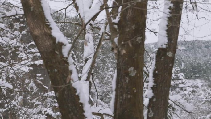 雪天山区沿途风景、雪景