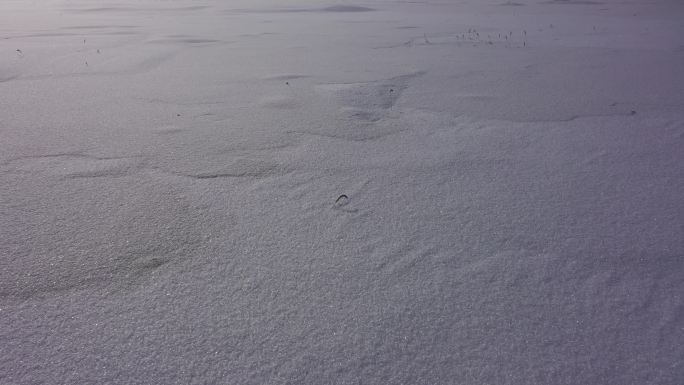 冰湖白雪