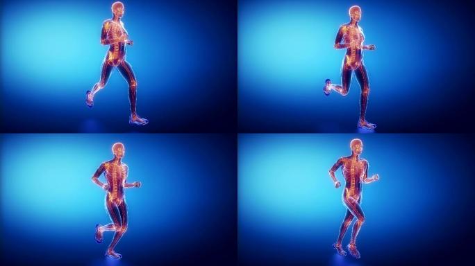 跑步者骨骼扫描运动生理学骨骼结构跑步分析