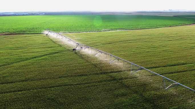 小麦灌溉航拍
