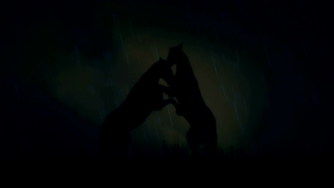 两匹马在雷雨下搏斗