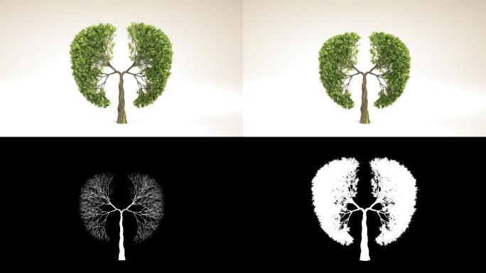 以肺的形状生长的树。