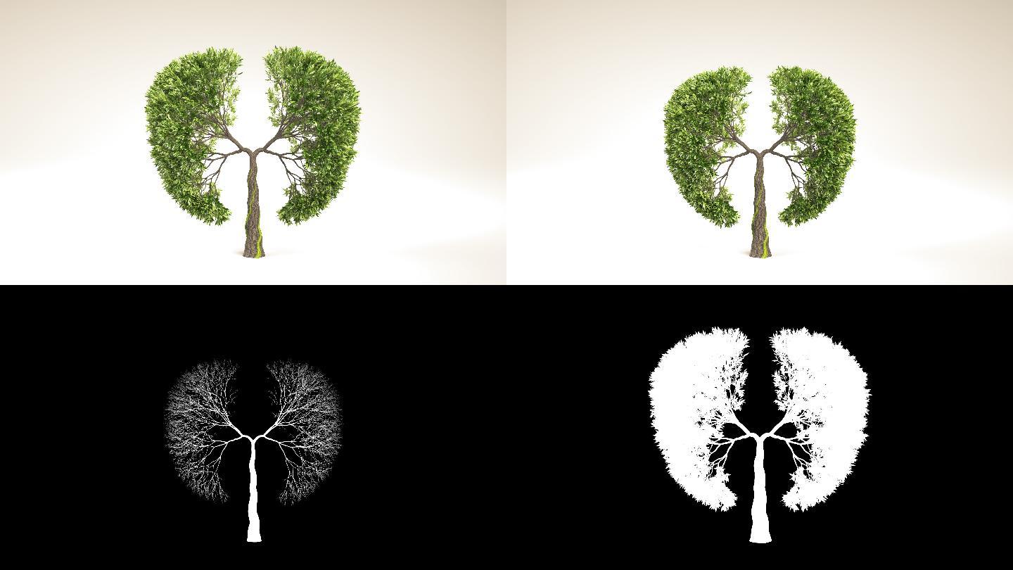 以肺的形状生长的树。