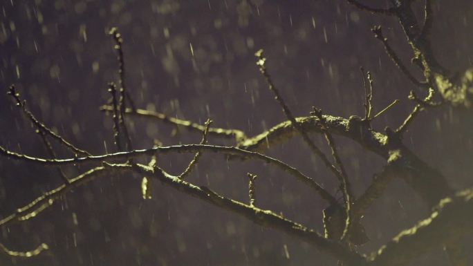 夜景下雪