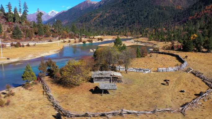 西藏林芝新措罗结曲的牧场