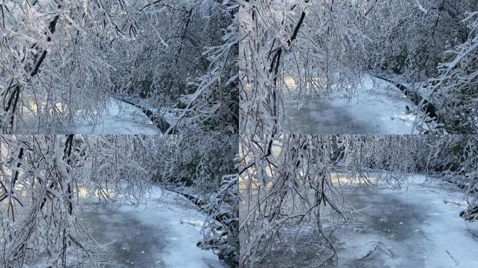 乡村气息漫天大雪之后美丽雾凇冰羽晶莹11