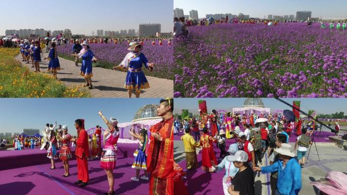 甘肃金昌市旅游全国文明城市花海 紫金苑