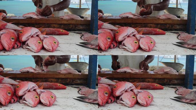 鱼市干净的鱼集市市场
