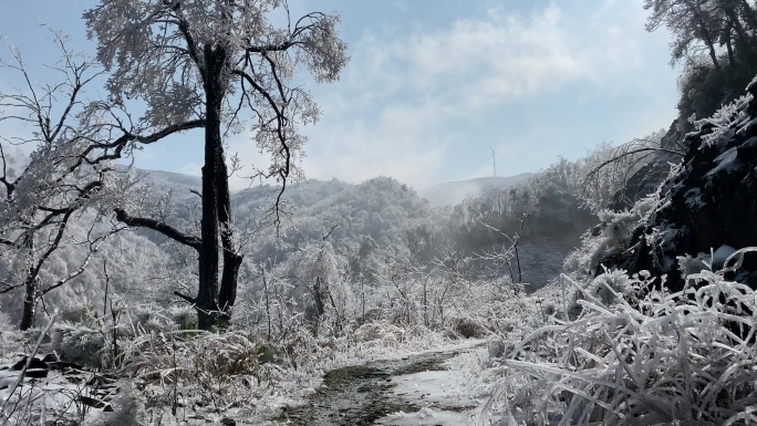 乡村气息：漫天大雪之后美丽雾凇冰羽晶莹6