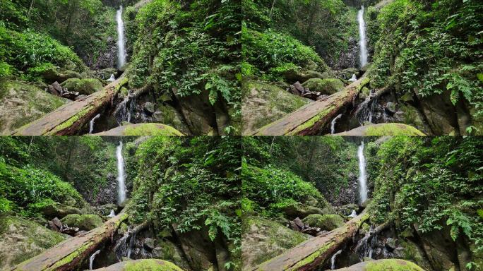 泰国森林深处的瀑布。