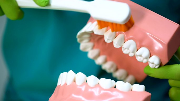 牙医模拟正确清洁牙齿