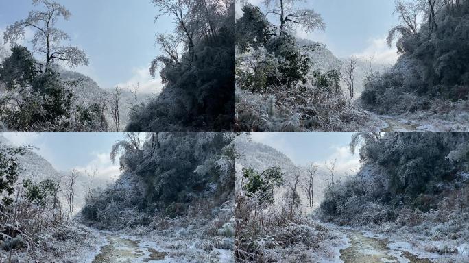 乡村气息：漫天大雪之后美丽雾凇冰羽晶莹3