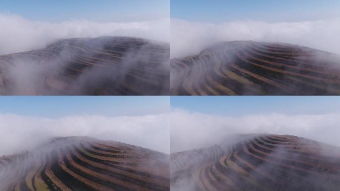 农耕季节云雾中的梯田高清航拍素材